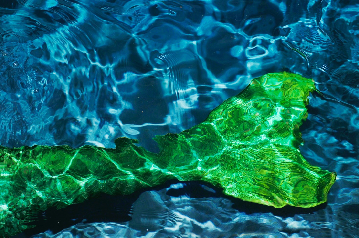 Diving Deep into the Beauty of Antigoni